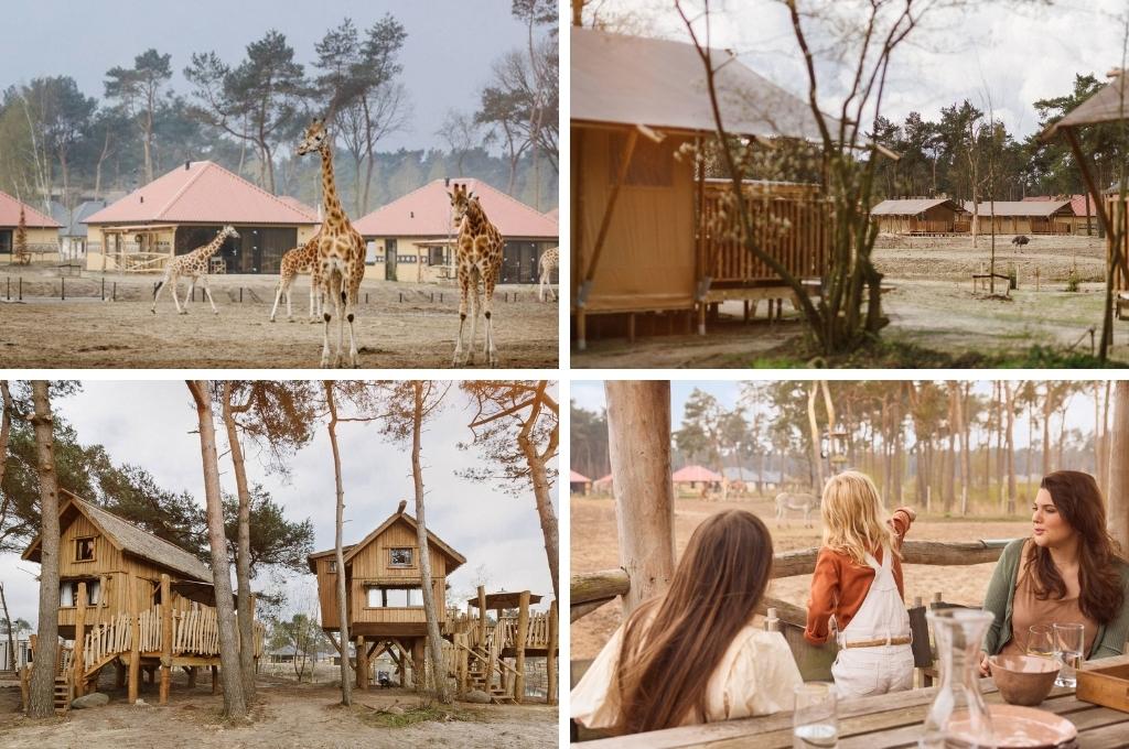 Top-20 leukste & beste vakantieparken in Noord-Brabant