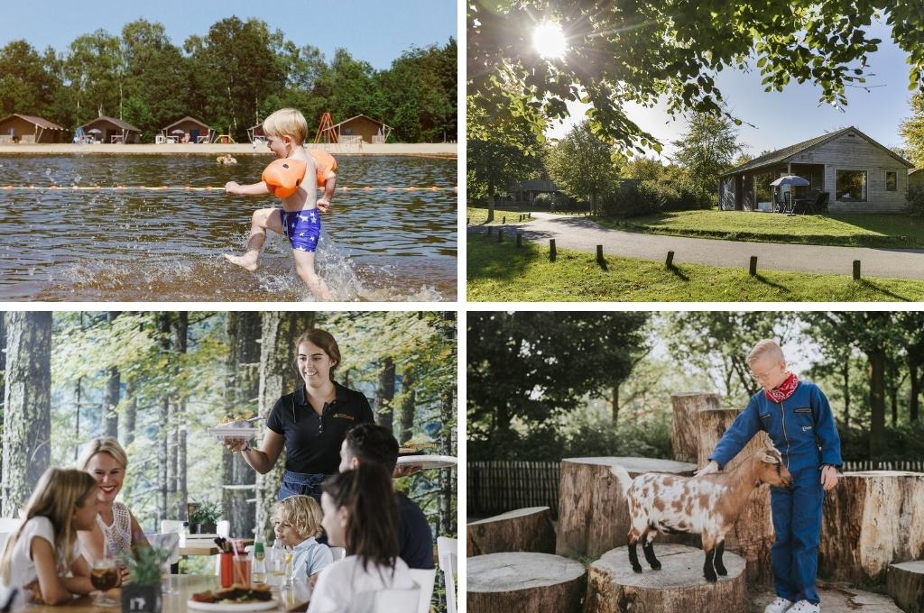 vakantiepark dierenbos noord brabant, leukste kindercampings in Overijssel