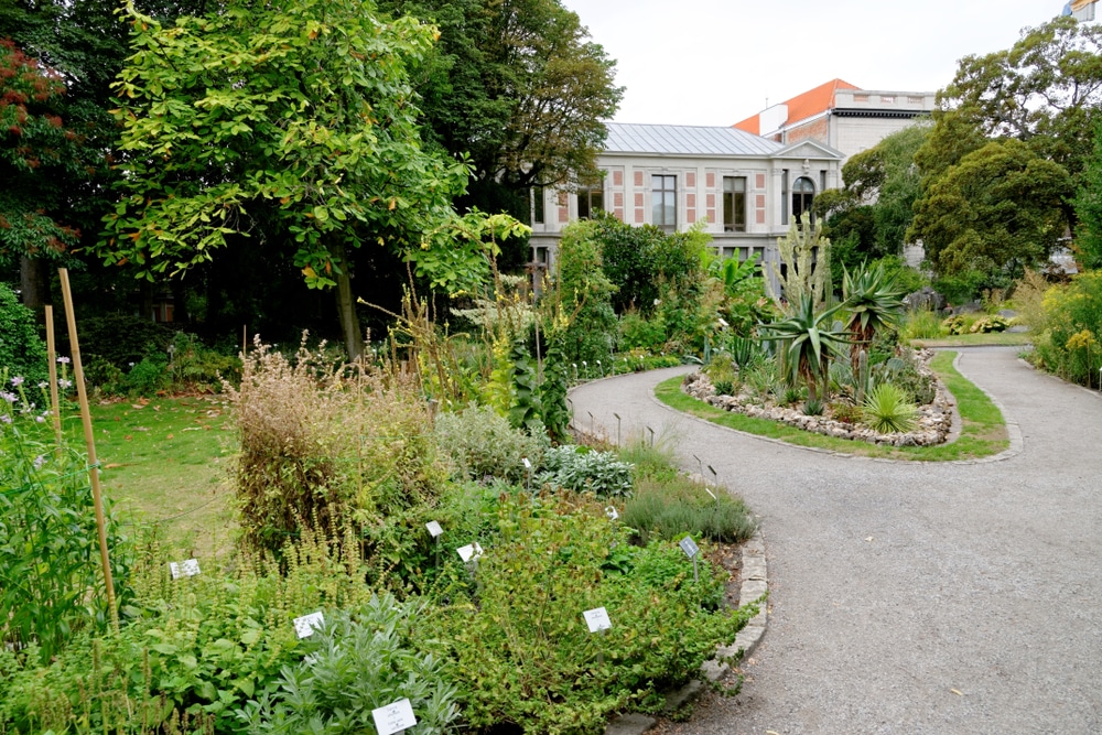 Antwerpen Plantentuin 1568348266, wat te doen in Antwerpen