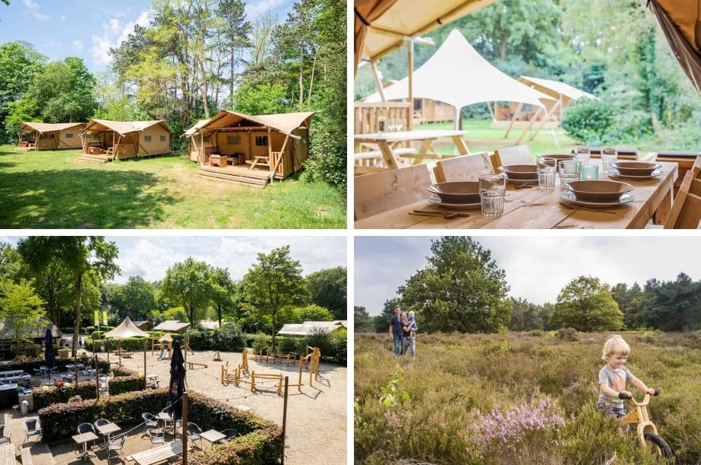 fotocollage van Landal Vakantiepark Gooise Heide in Noord-Holalnd met een foto van safaritenten, een foto van een gedekt terras van een safaritent, een foto van de speeltuin en het terras en een foto van een gezin in de heide