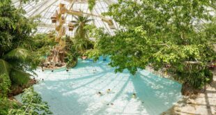 Center Parcs header, vakantiepark Drenthe