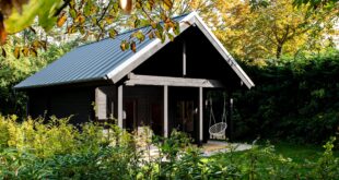 Vakantiehuis met tuin en terras in een bosrijke omgeving in Schoorl