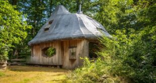 vakantiehuisje in de vorm van een paddenstoel in een bos in Schipborg, Drenthe