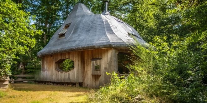 vakantiehuisje in de vorm van een paddenstoel in een bos in Schipborg, Drenthe