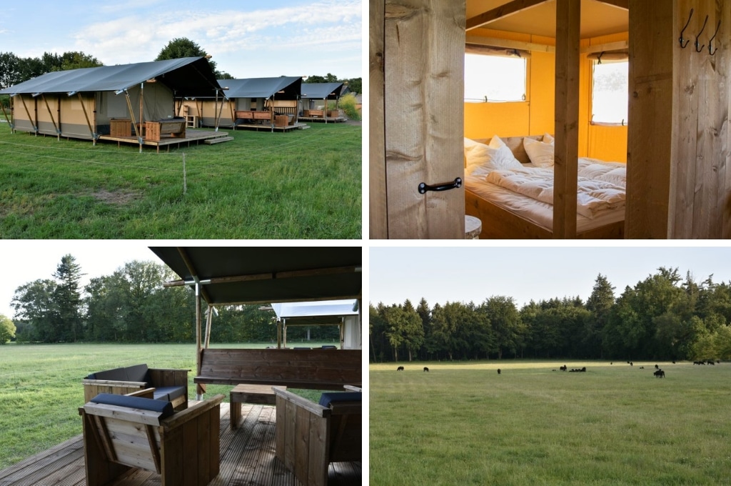 fotocollage van Glamping Mooirust met een foto van drie dichte safaritenten, een foto van een houten tweepersoonsbed in de tent, een foto van de loungeset op de veranda en een foto van het weiland met aan het eind het bos