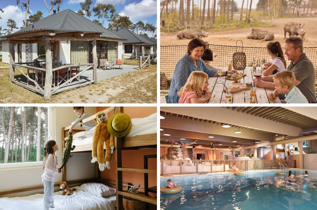 fotocollage van safari resort beekse bergen met een foto van de buitenkant van een lodge, een foto van een gezin aan een picknicktafel met op de achtergrond neushoorns, een foto van twee kinderen op bedden in een kinderkamer, en een foto van mensen in het binnenzwembad