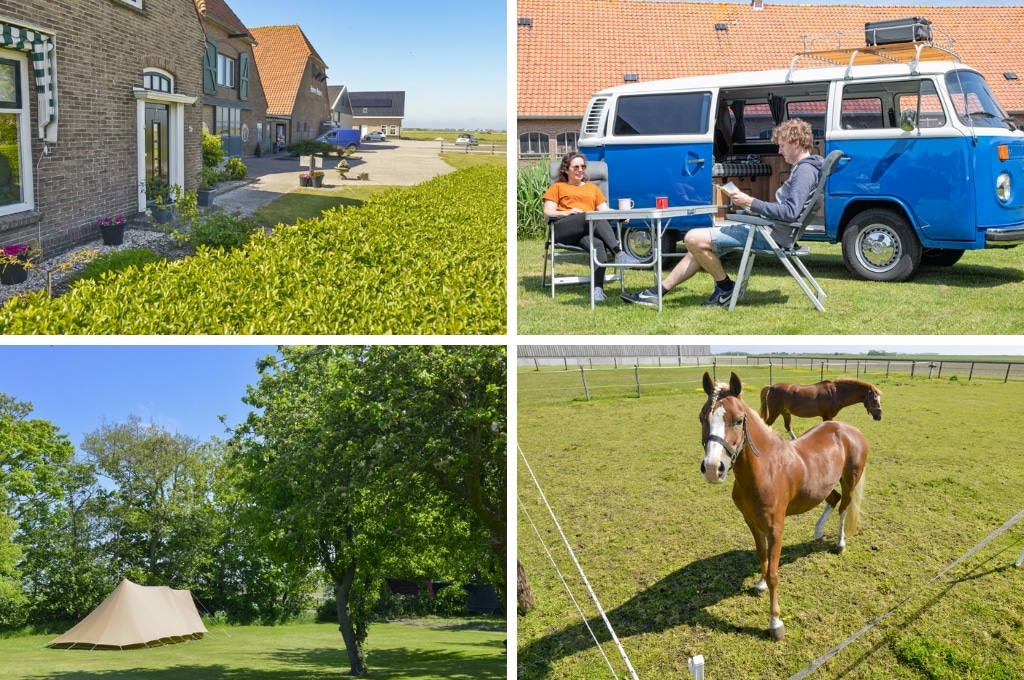 fotocollage van boerderijcamping Padang met een foto van de voorkant van boerderijhuizen, een foto van een stel dat aan een tafel voor hun blauwe campertje zit, een foto van een safaritent op een groen veld met een boom, en een foto van twee bruine paarden