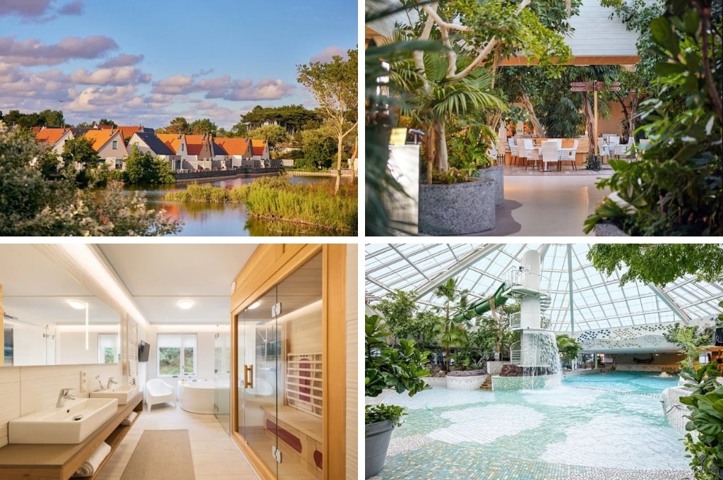 fotocollage van Center Parcs Zandvoort met een foto van vakantiehuizen aan het water, een foto van de Plaza, een fot ovan een badkamer met sauna en bubbelbad, en een foto van het tropisch zwemparadijs