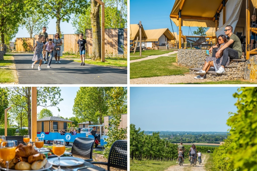 fotocollage van EuroParcs Poort van Maastricht met een foto van een gezin dat over een pad in het park loopt, een foto van een stel op een trapje voor hun glamping tent zit, een foto van een ontbijtje op het terras van een chalet, en een foto van een gezin dat tussen de wijngaarden doorfietst