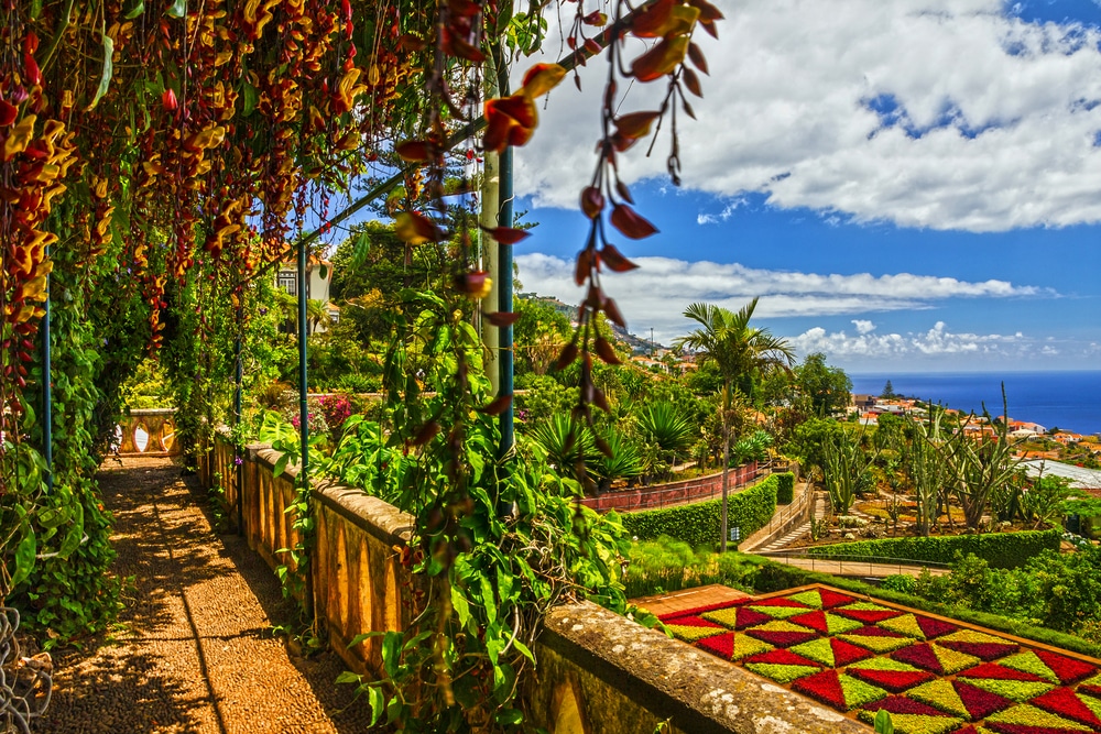 Botanische tuin Madeira 419493172, mooiste bezienswaardigheden op Madeira