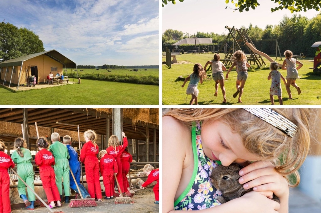 farmcamps mariekerke kindercamping, boshuisje Veluwe