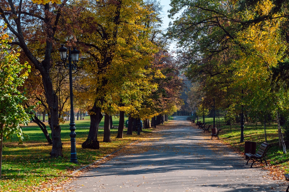Borisova Gradina Park Sofia 1852694881