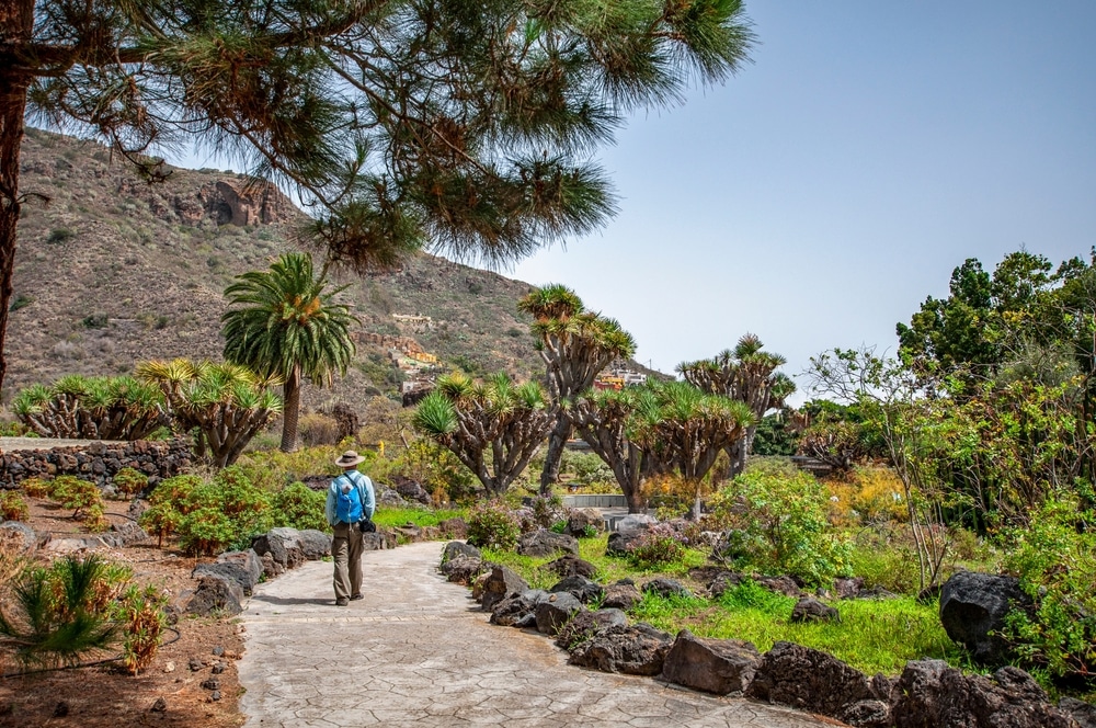 Jardin Botanico Canario Gran Canaria 2274507325, mooiste stranden van Gran Canaria