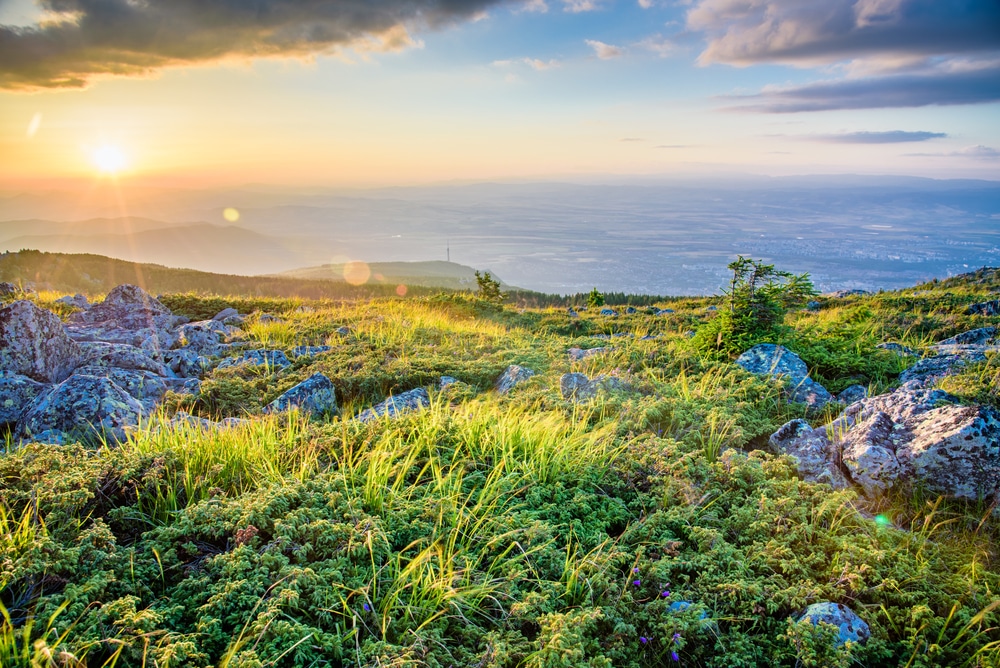 Vitosha Natuurpark Sofia 488941759