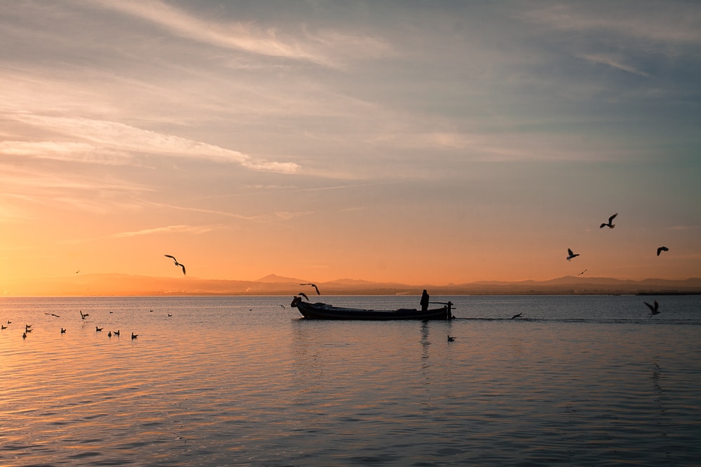 foto van een vissersbootje met daarop een man en rondom vogels en eendjes op het meer van Albufera de Valencia bij zonsondergang 