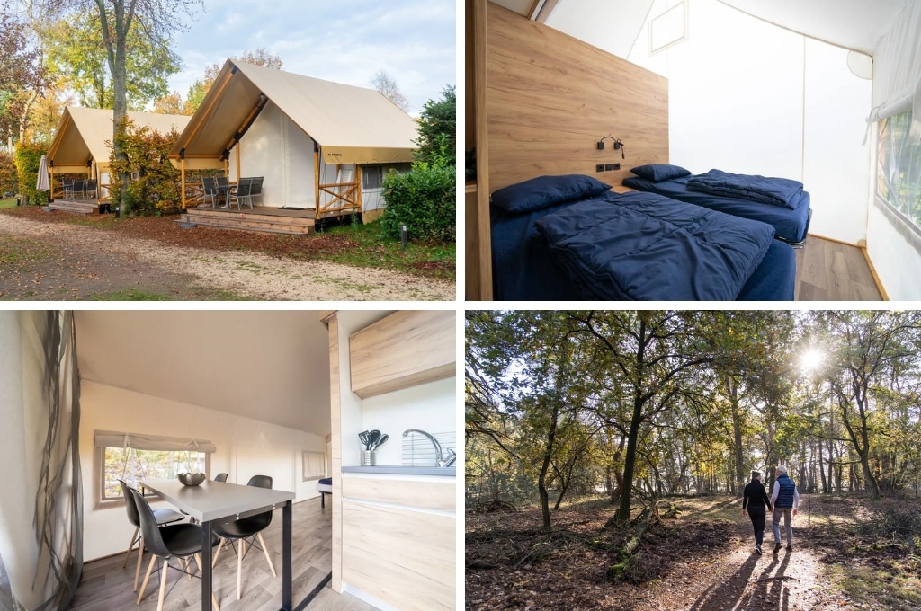 glampingtent europarcs de wije werelt, glamping Zwitserland