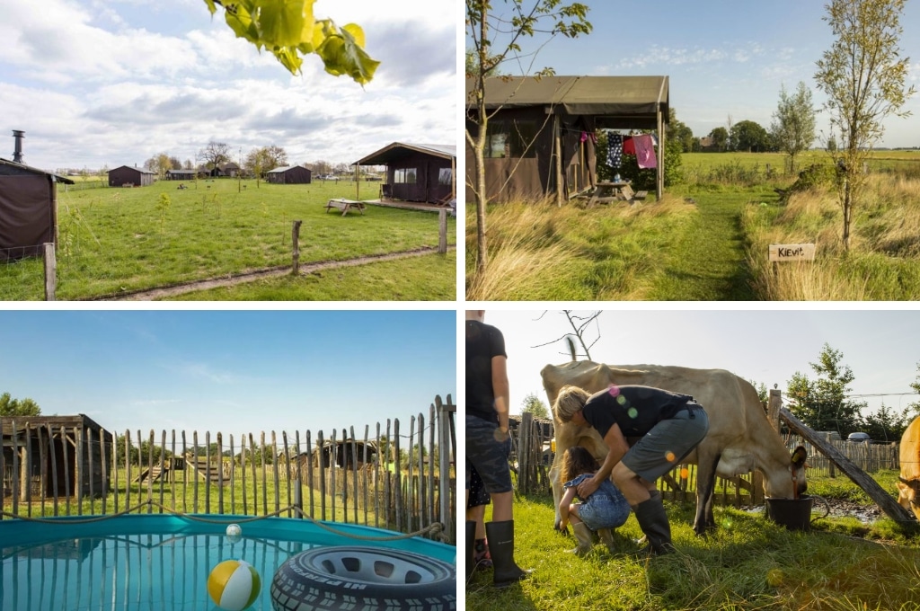 BoerenBed camping Landhoeve op de Veluwe, boshuisje Veluwe