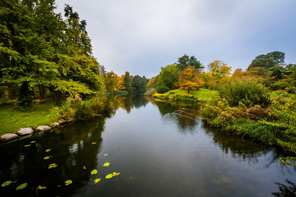 Botanisk Have Kopenhagen 329446226