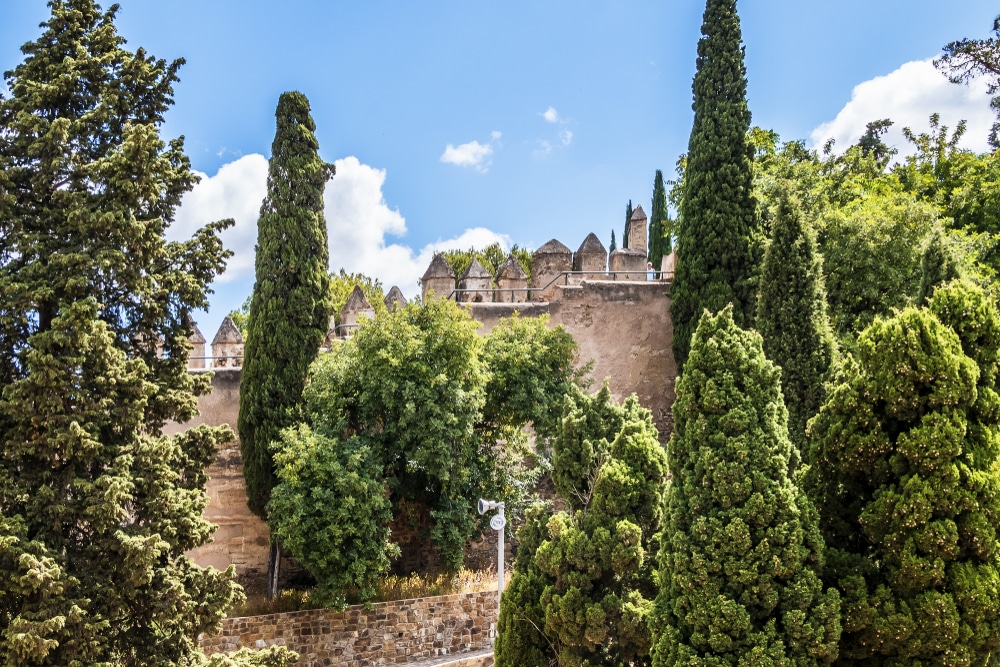 Castillo De Gibralfaro Malaga 1202296204