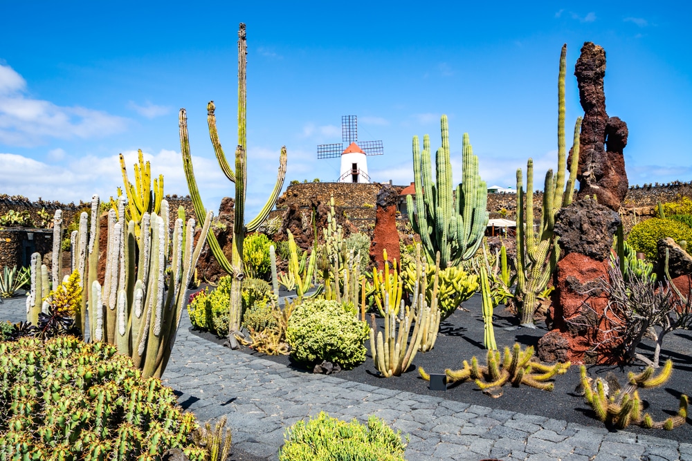 De 12 mooiste bezienswaardigheden op Lanzarote
