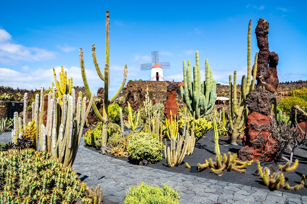 Guatiza Lanzarote 1433425574, mooiste bezienswaardigheden op Lanzarote