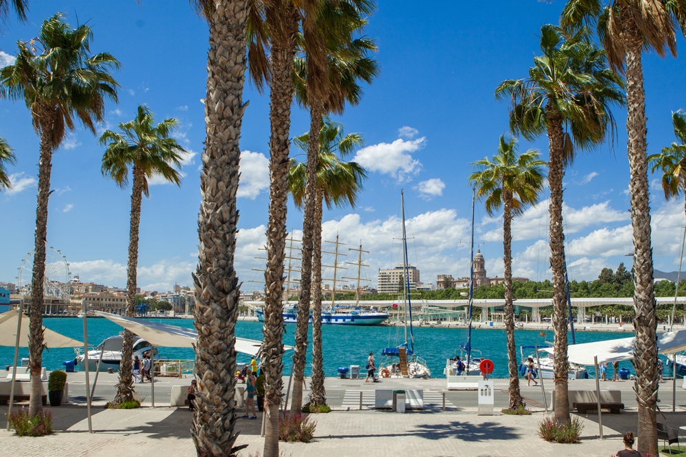 Haven Van Malaga 1818245753