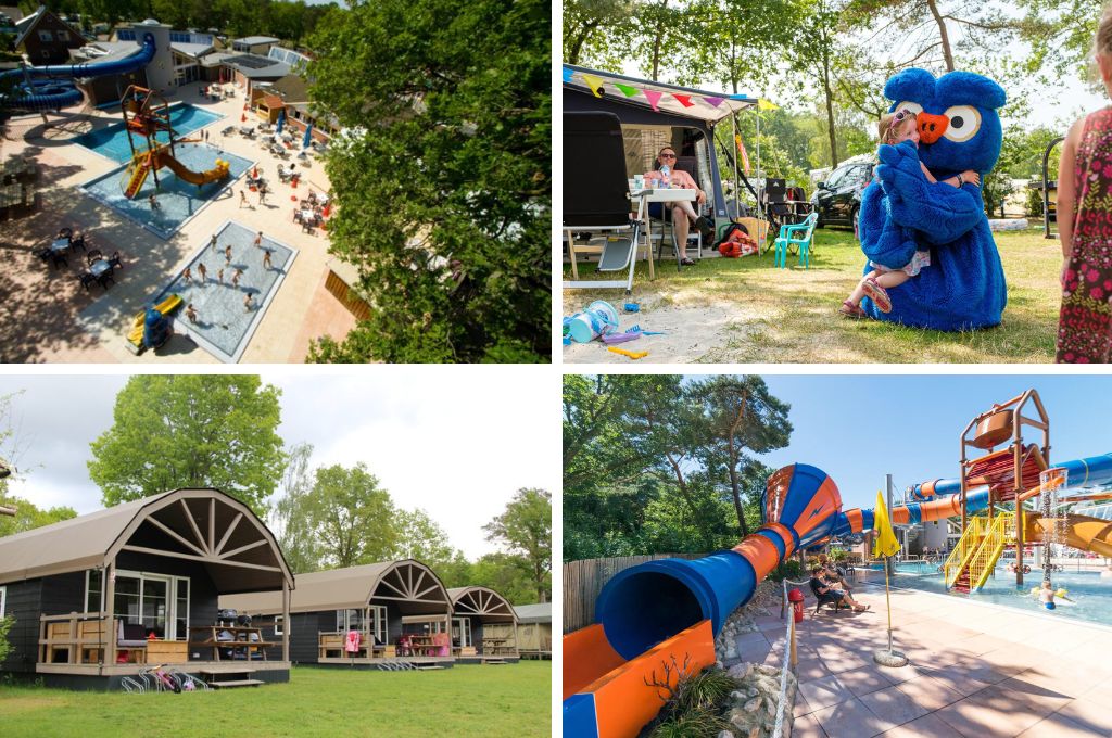 De 10 mooiste campings in Overijssel
