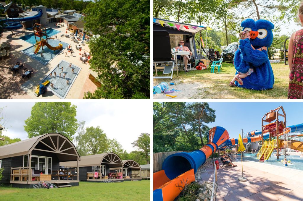 Kampeerdorp de Zandstuve, campings Utrechtse Heuvelrug