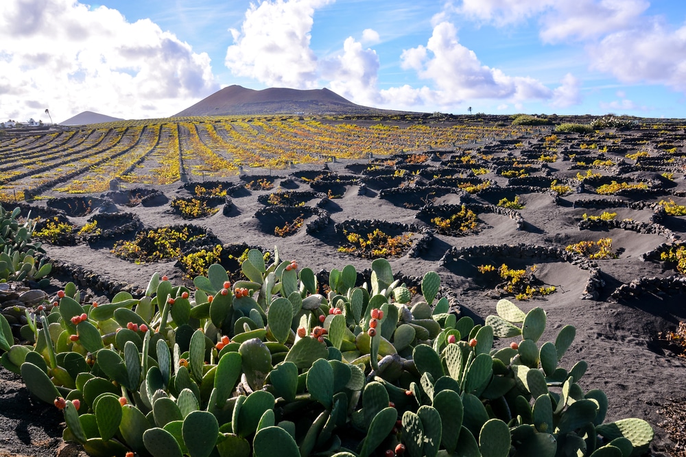 De 12 mooiste bezienswaardigheden op Lanzarote
