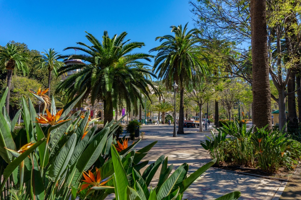 Paseo Del Parque Malaga 1362299825