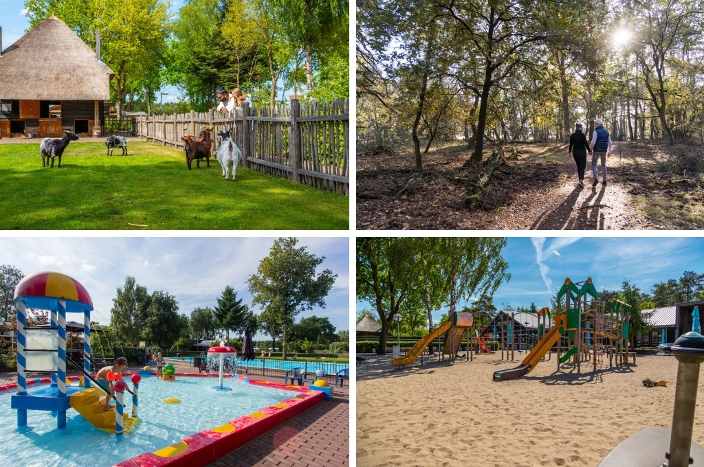 Europarcs De Wije Werelt Camping Veluwe