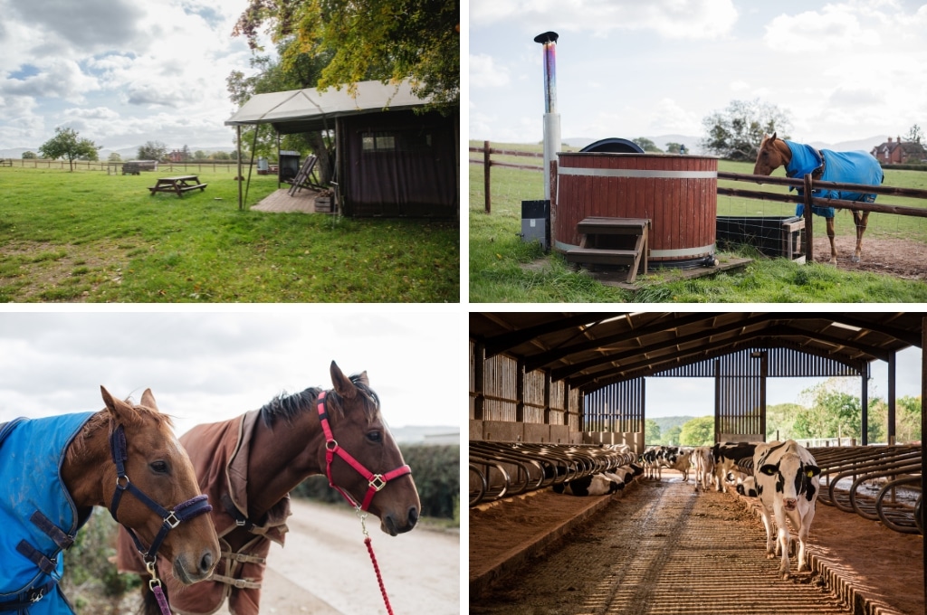 BoerenBed Hollings Hill Farm engeland, glamping Zwitserland