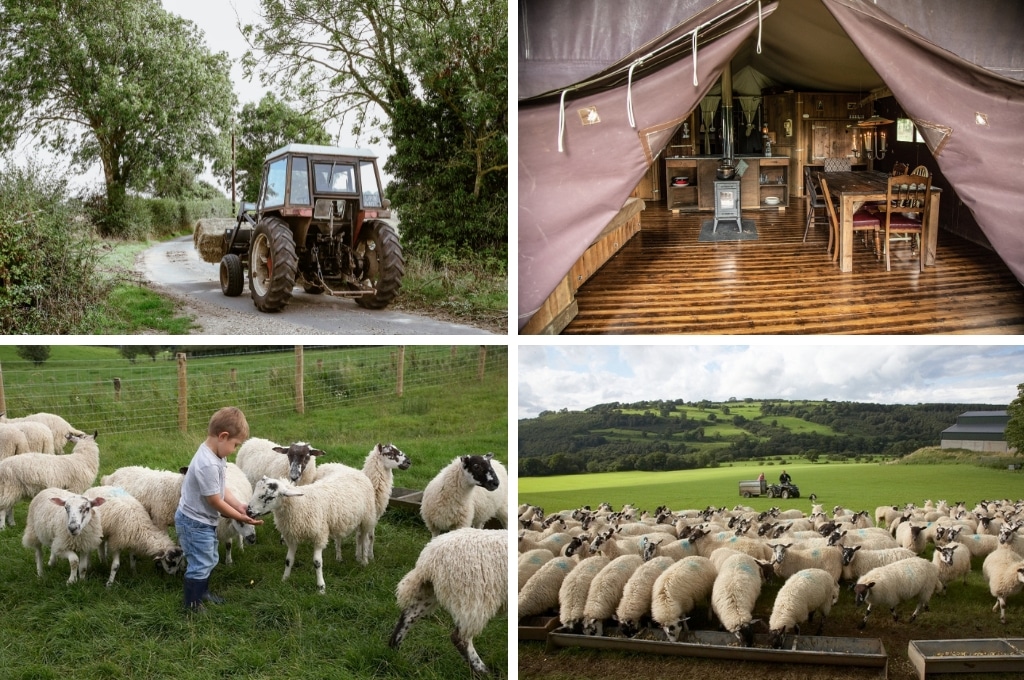 BoerenBed Howbeck Lodge Farm engeland, glamping Zwitserland