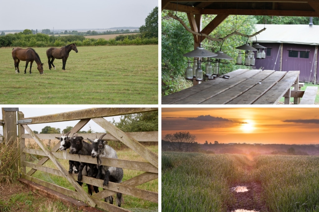 BoerenBed New Barn Farm engeland, glamping Zwitserland