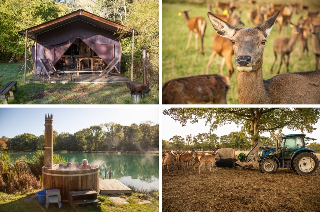 BoerenBed Upper Shadymoor Farm Engeland, glamping Zwitserland