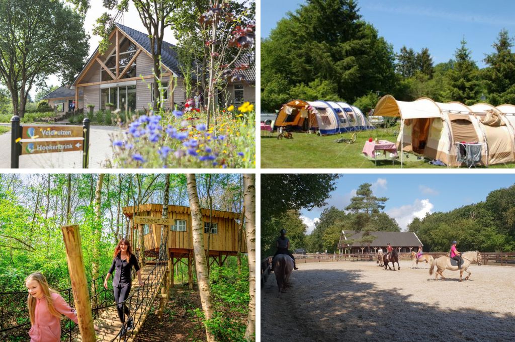 Camping De Reeenwissel