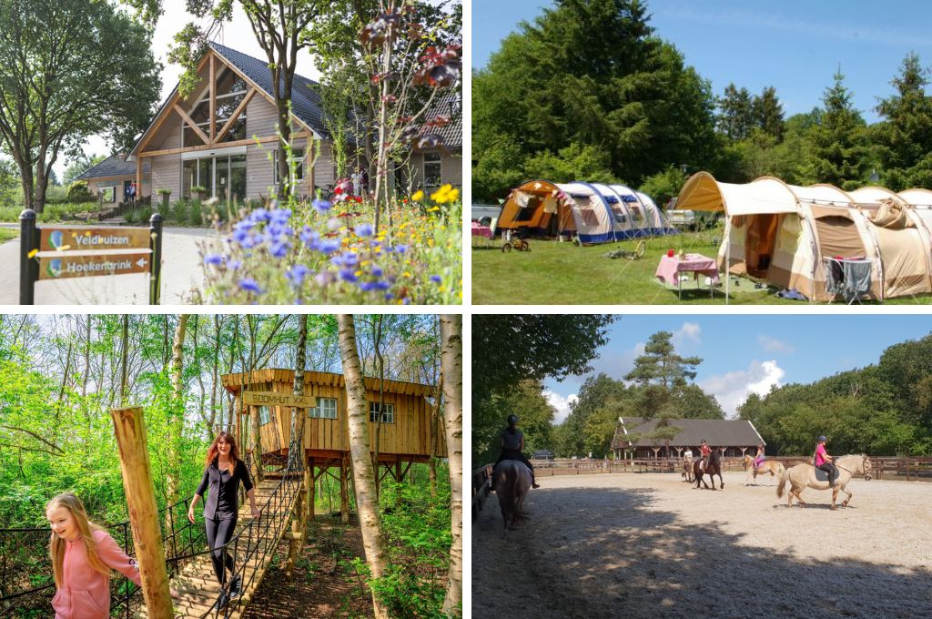 Camping de Reeenwissel, campings Utrechtse Heuvelrug