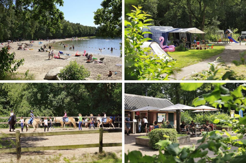 Camping de Vledders, mooiste campings in Drenthe