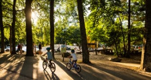 RCN Vakantiepark het Grote Bos 7, kindvriendelijke campings Drenthe