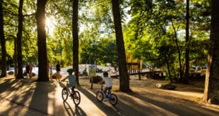 RCN Vakantiepark het Grote Bos 7, campings in Gelderland