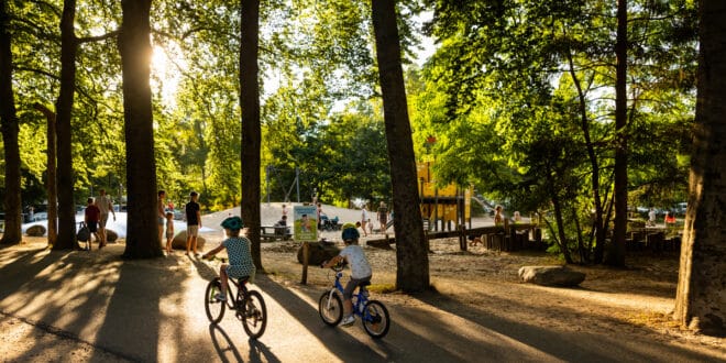 RCN Vakantiepark het Grote Bos 7, campings Utrechtse Heuvelrug