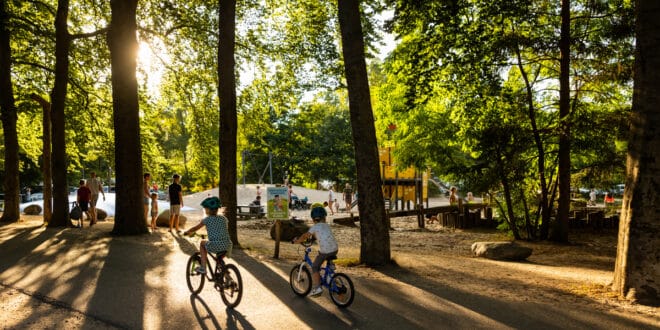 RCN Vakantiepark het Grote Bos 7, Camping Eifel