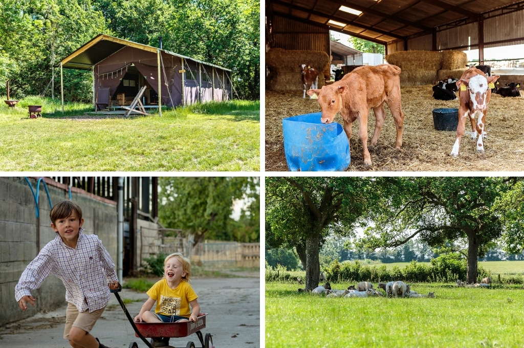 boerenbed moor farm engeland, logeren bij de boer in Engeland