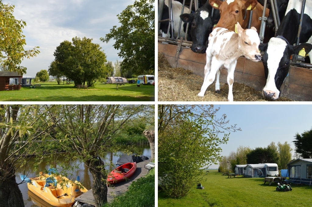 natuurcamping de boerderij utrecht, campings Utrechtse Heuvelrug