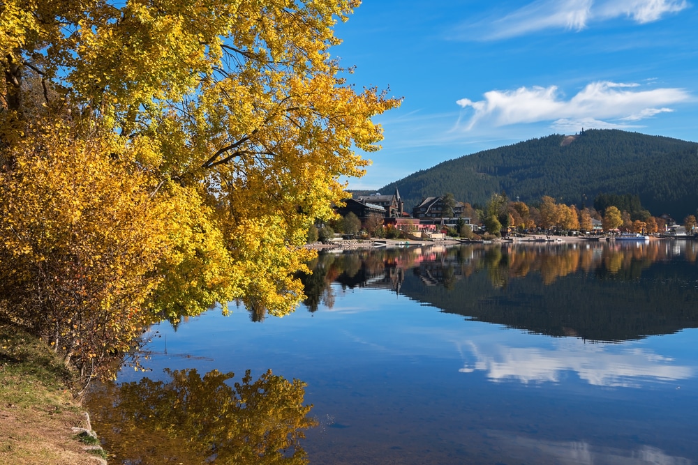 Titisee Duitslan 549228535, nationale parken Duitsland