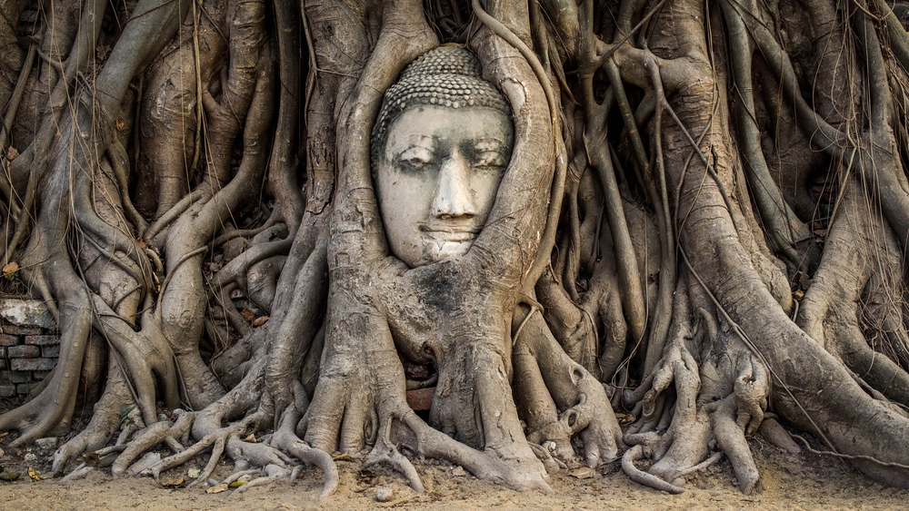 Vakantie in Thailand, de mooiste rondreizen en bezienswaardigheden