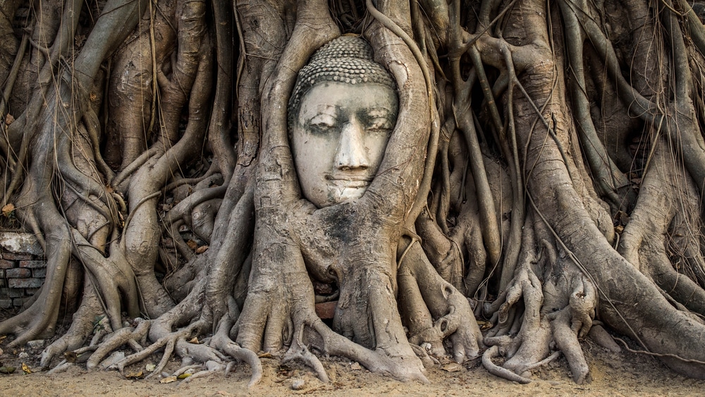 Ayutthaya Thailand shutterstock 203207722, Bezienswaardigheden Zuid-Holland