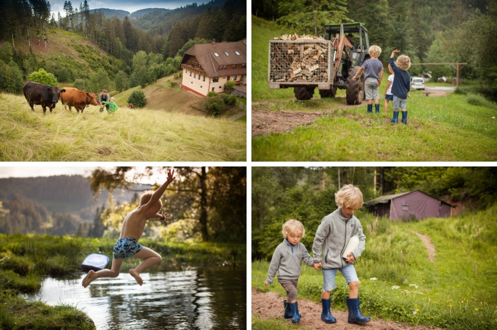 BoerenBed Hilserhof Zwarte Woud camping, Vakantiehuis Zwarte Woud