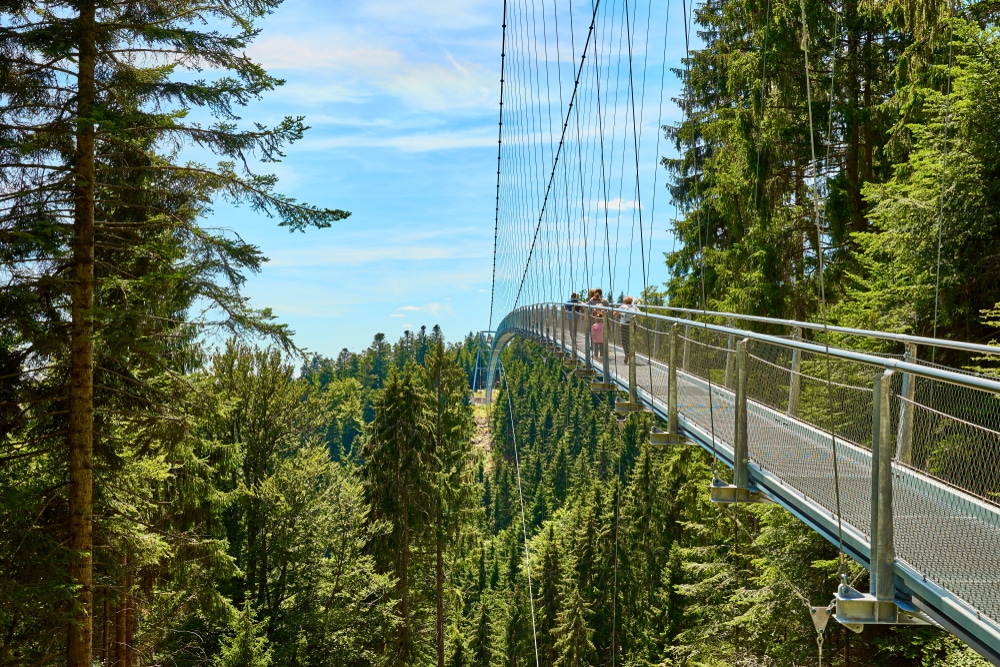 een gezin dat over de WildLine hangbrug in het Zwarte Woud loopt op een zeer lichtbewolkte dag