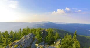 Bayerischer Wald natuurgebieden Duitsland shutterstock 784970896, natuurgebieden nederland